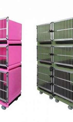 Canil para pet shop Canil para pet shop