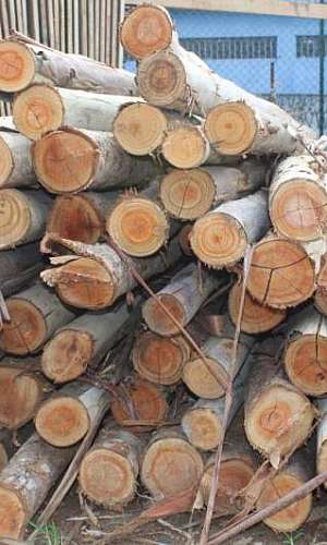 Pontaletes de madeira Pontaletes de madeira